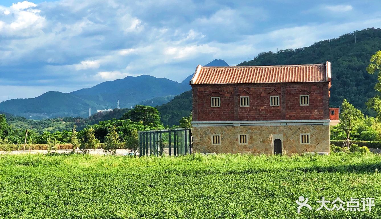 周末去哪儿~溪禾山铁观音文化园91