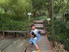 -杭州少年儿童公园