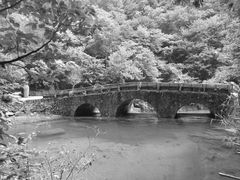 -白云源风景区