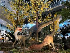 -湖南省地质博物馆