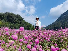 -广州市石门国家森林公园