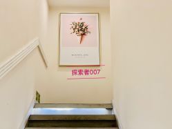 -MIDA蜜哒•科技逆龄美肤连锁