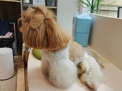 -萌宠主义宠物生活馆(金山路店)