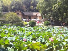 -韶山毛泽东同志故居