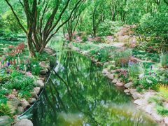 -上海共青森林公园