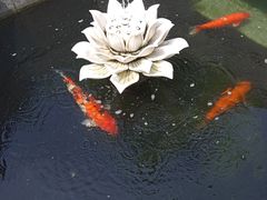-西安市广仁寺