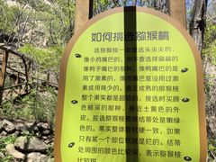 -大岭沟猕猴桃谷风景区