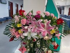 -大连何氏眼科医院