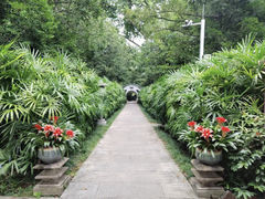 -广州兰圃