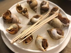 海螺-天然居(伦教店)