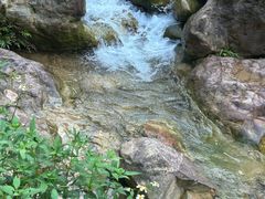-南海湾森林生态园