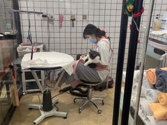 -熊小胖宠物生活馆(天华园店)