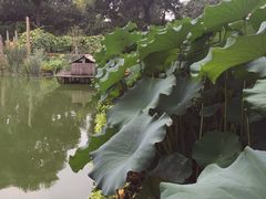 景点-恭王府博物馆