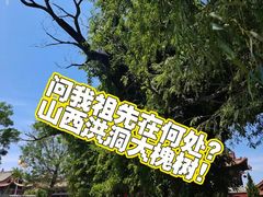 -大槐树寻根祭祖园