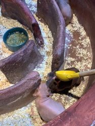 -奇幻萌宠部落(映月湖环宇城店)