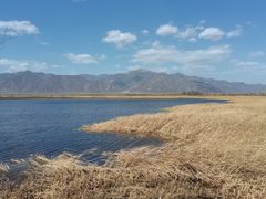 -野鸭湖国家湿地公园