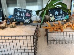 -Social 秀西餐厅-长沙瑞吉酒店(运达店)