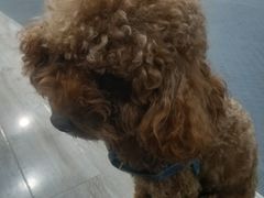 -FIGHTMAN格斗俱乐部(长宁临空店)