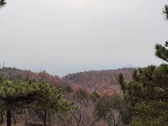 -北京十三陵国家森林公园蟒山景区