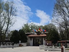 -罗布林卡