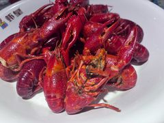 -虾皇(龙虾城旗舰店)