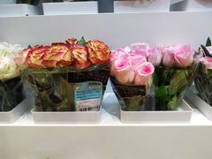 -盒马鲜生(丁香国际店)