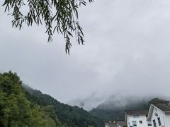 -狮子沟牧场