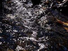 -MOJ coffee(瓯海泽雅水碓坑店)