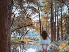 -人民公园(罗湖区)