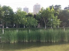 -雁滩公园