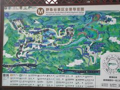 -野象谷景区