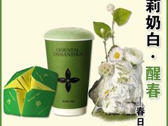 -茉莉奶白(广州动漫星城店)