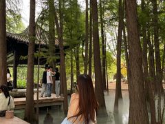 -东湖落雁景区