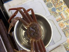 -77号渔船·蒸海鲜青岛菜(积米崖店)