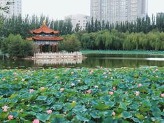 -青城公园