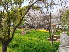 -苏州上方山国家森林公园