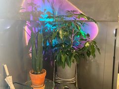 -Sarah西点·烘焙·餐厅(翰林府旗舰店)