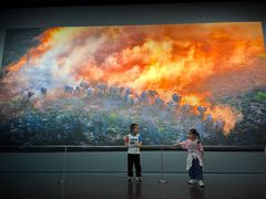 -罗红摄影艺术馆