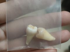 -雅致口腔门诊部(五羊邨地铁店)