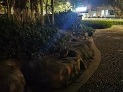 -柳侯公园