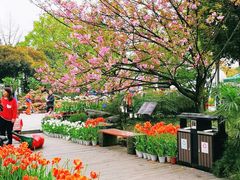 -南山植物园