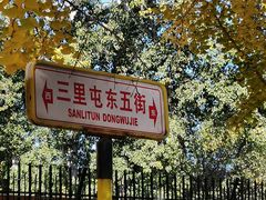 -三里屯东五街银杏大道