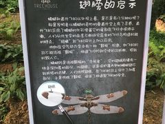 -云峰山自然风景区
