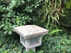 -广州兰圃