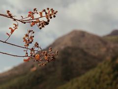 -东天目山风景区