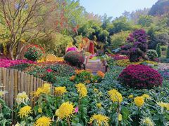 -杭州植物园