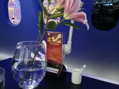 -甜心航空主题餐厅(清远万达广场店)