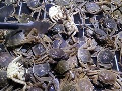 -聚盛源蒸汽海鲜火锅烤肉自助(巨川金海岸购物广场店)