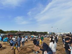 -碧海金沙