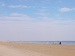 -日照海滨国家森林公园